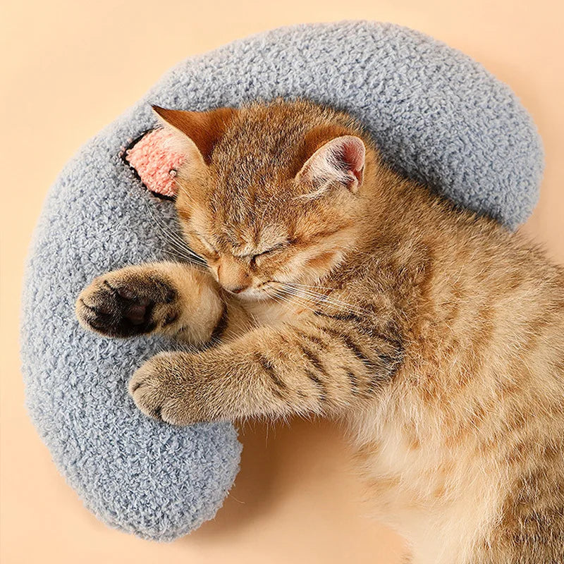 Almohadas pequeñas para mascota cutties pillow